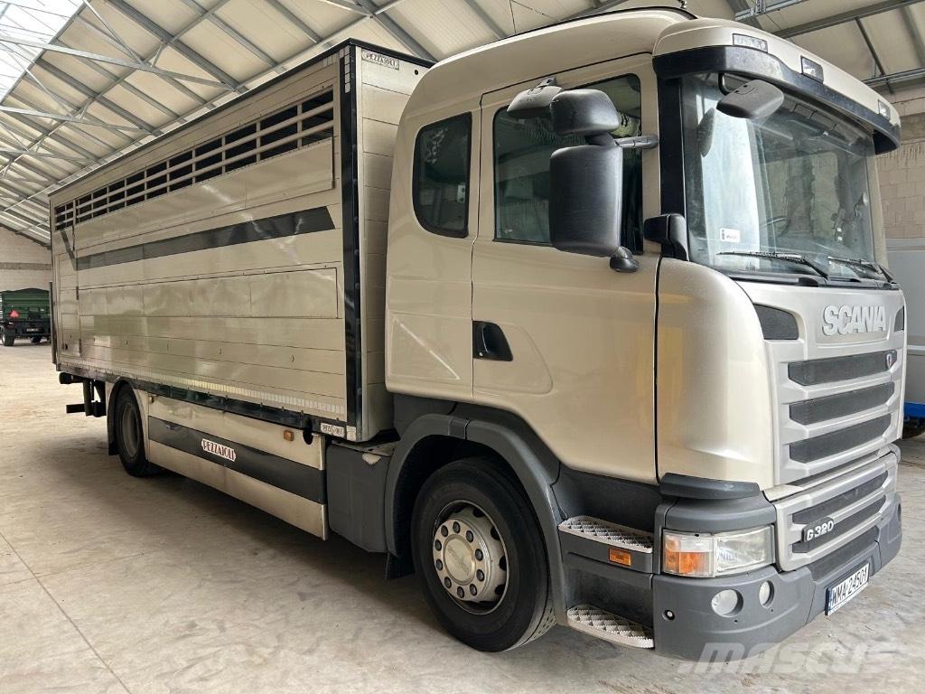 Scania G 320 Animal transport trucks