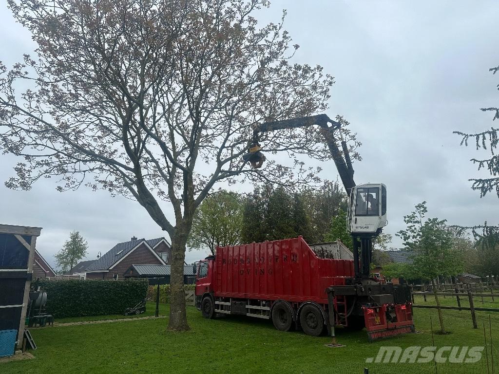 DAF cf As75pc Log trucks