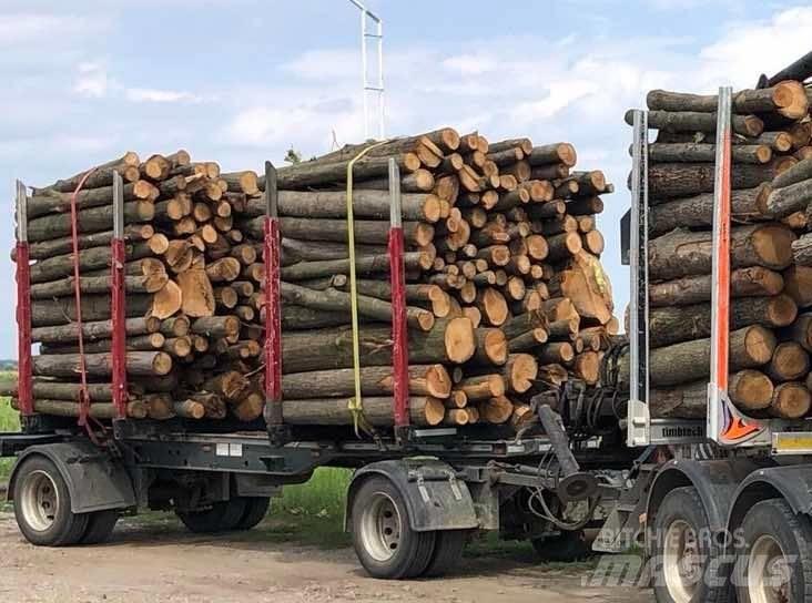 Pavic HTA 20 Logging Trailers