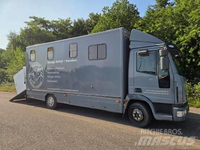 Iveco E 75 Animal transport trucks