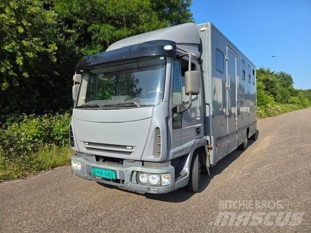 Iveco E 75 Animal transport trucks