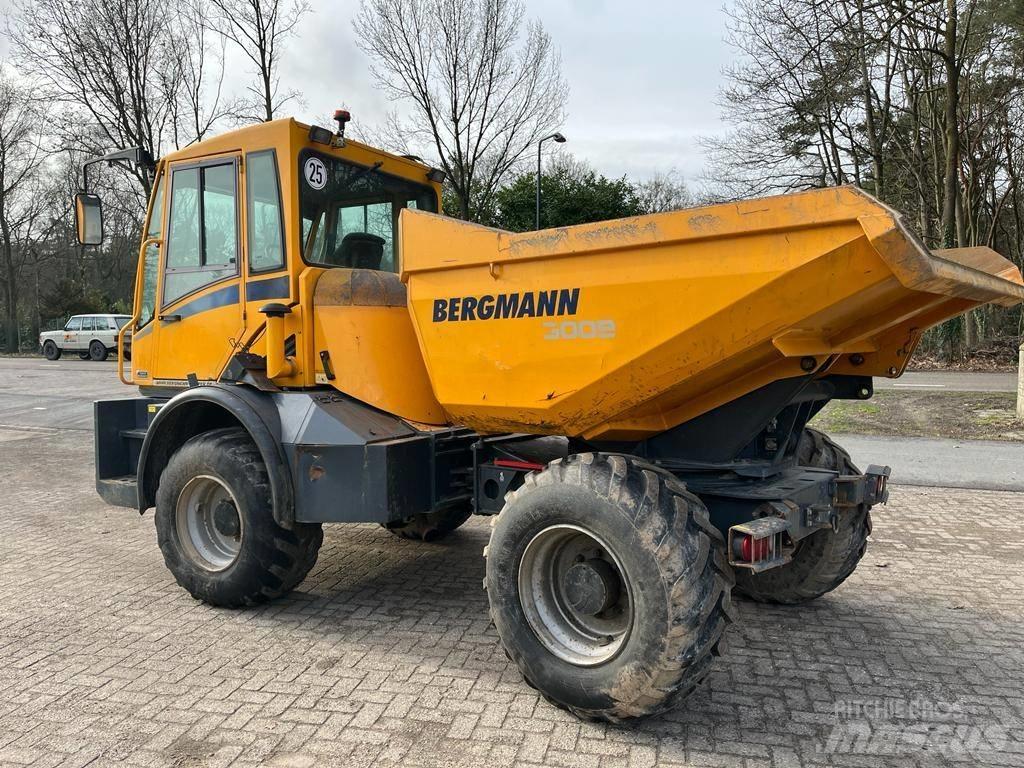 Bergmann 3009 R Articulated Dump Trucks (ADTs)