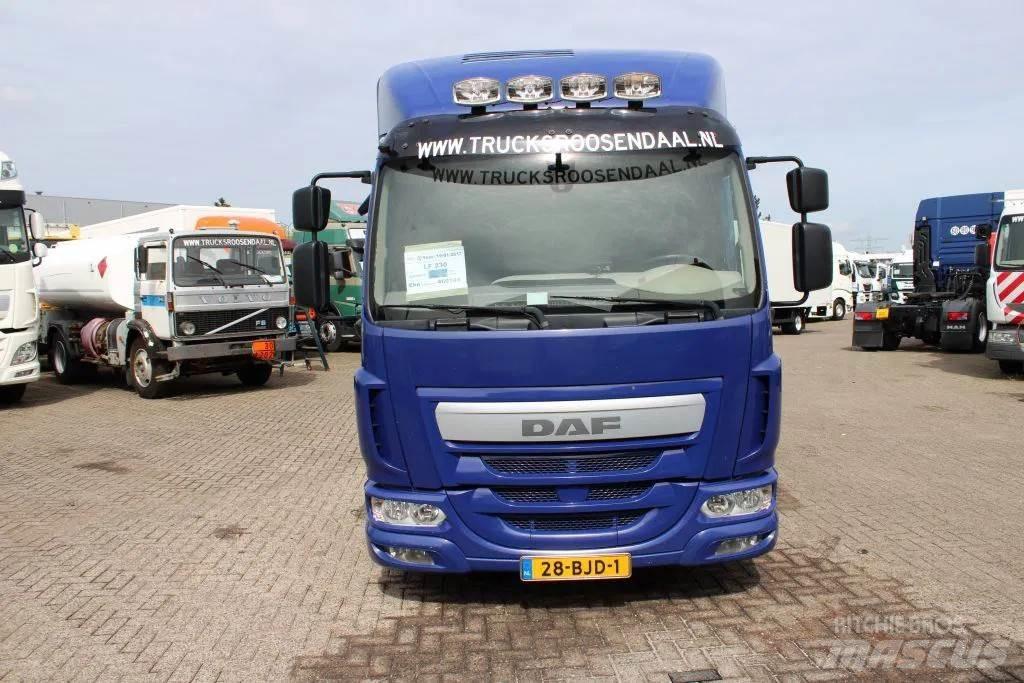 DAF LF 230 + EURO 6 Box trucks
