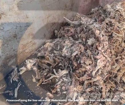 Eggersmann C14 Waste Shredders
