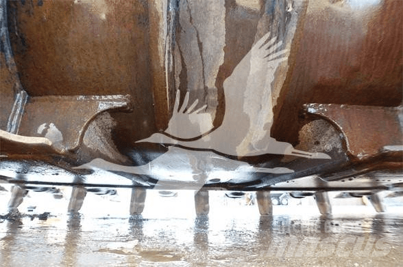 CAT TB LINKAGE Buckets