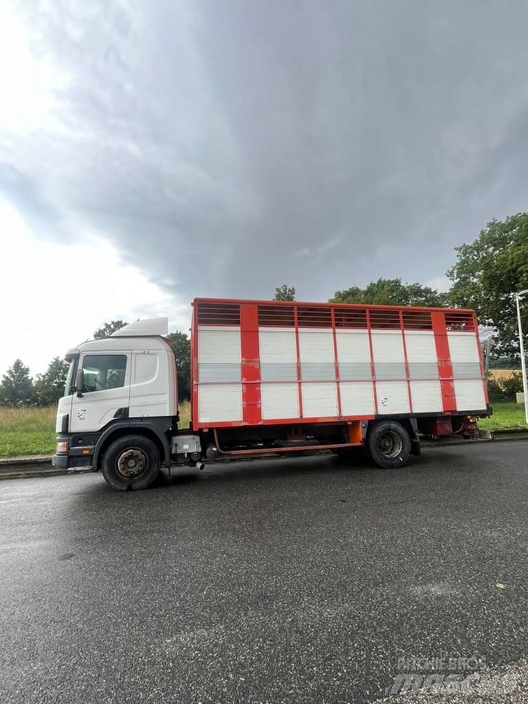 Scania 94 D 310 Animal transport trucks