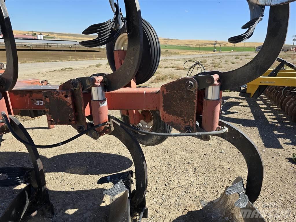 Ace 5 Bottom Plows