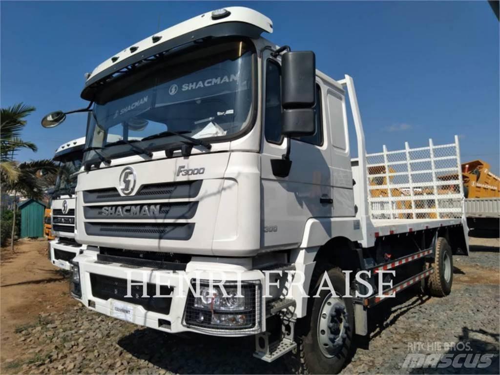 Shacman F3000 10T 4X2 Other