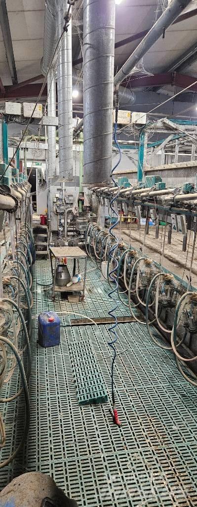 Gea Fast exit Milking equipment