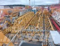 Potain MD265B1-J10 Tower Cranes