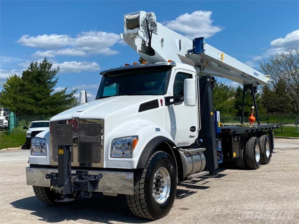 Manitex 30102 C Crane trucks
