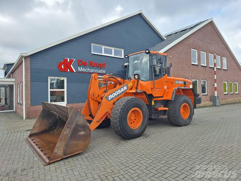 Doosan DL250 Wheel Loaders