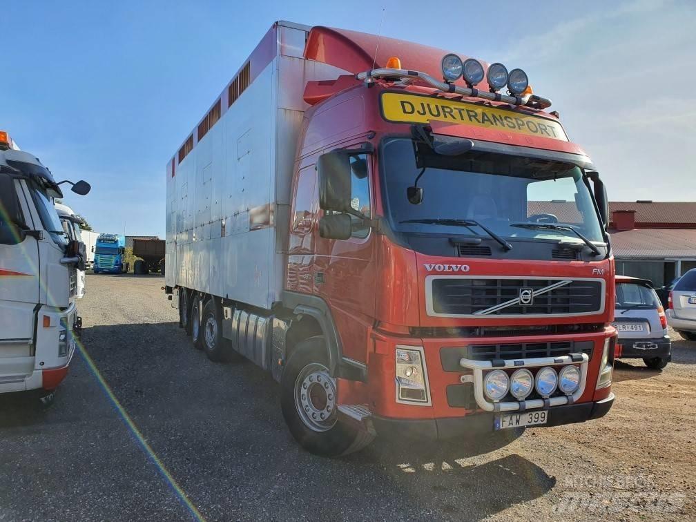Volvo FM12 Animal transport trucks