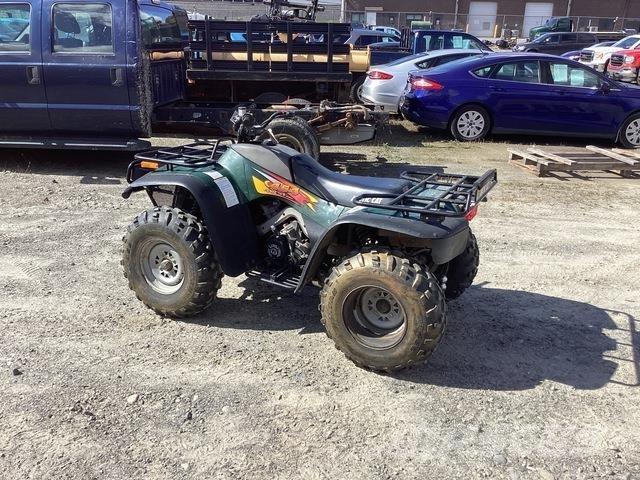 Arctic Cat 454 ATVs