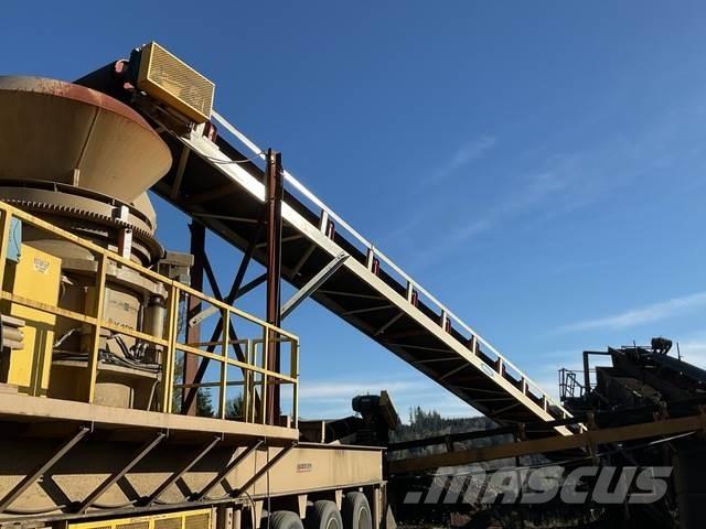  Reesco 36X60 Conveyors