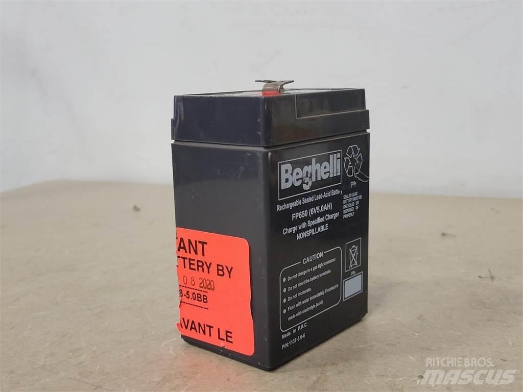  BEGHELLI FP650 Batteries