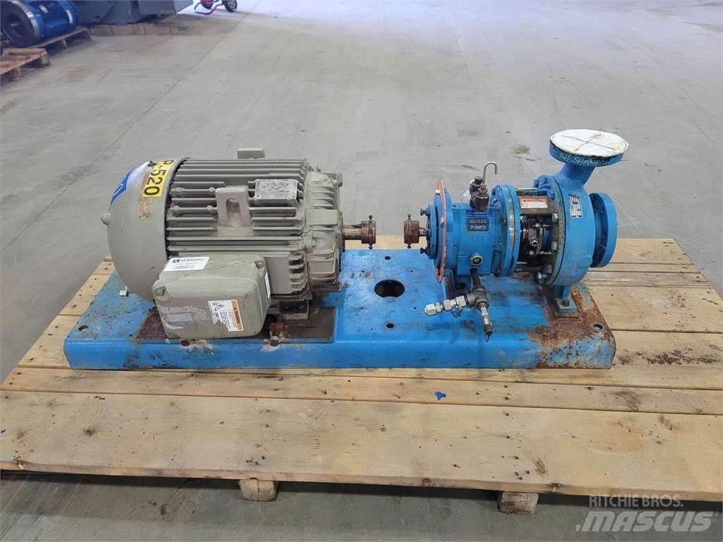  GOULD 3196 Water Pumps