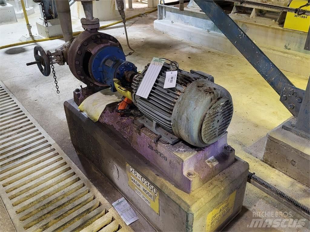  GOULDS 3196 Water Pumps