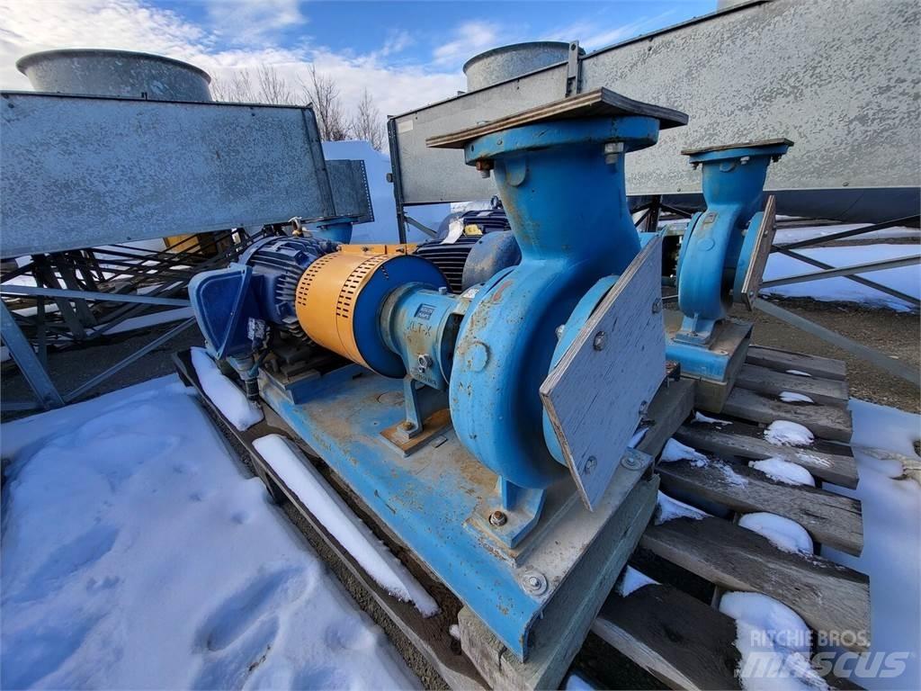  GOULDS 3196 Water Pumps