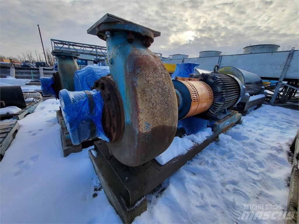  GOULDS 3196 Water Pumps