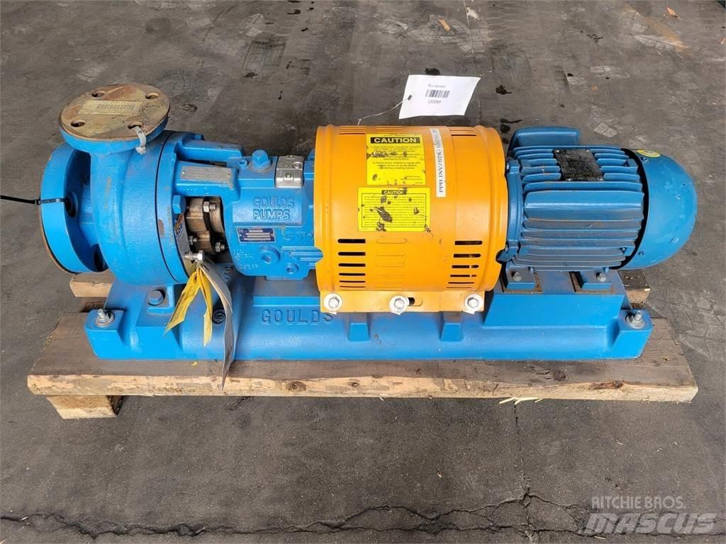  GOULDS 3196 Water Pumps