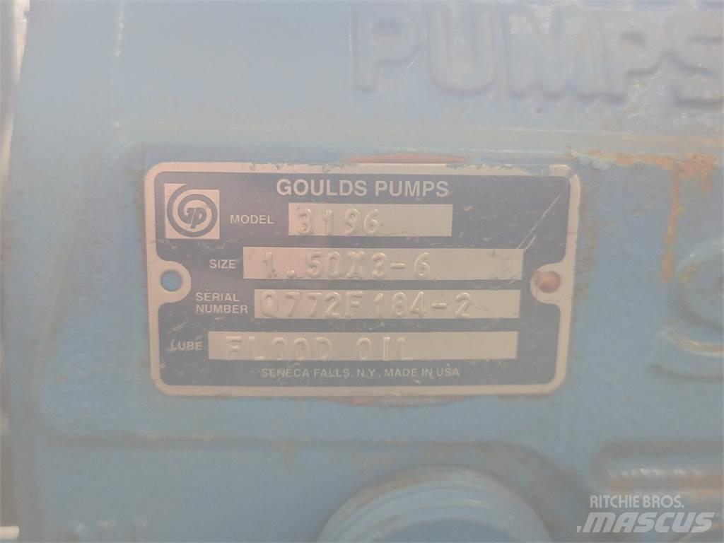  GOULDS 3196 Water Pumps