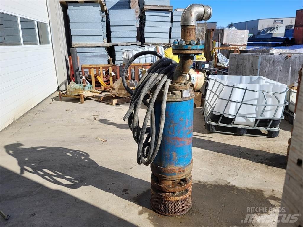 Tsurumi LH322W Water Pumps