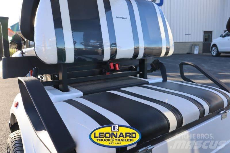  BINTELLI LSV4P Golf Carts