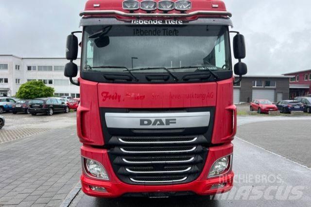 DAF XF460 6x2 Cab & Chassis Trucks