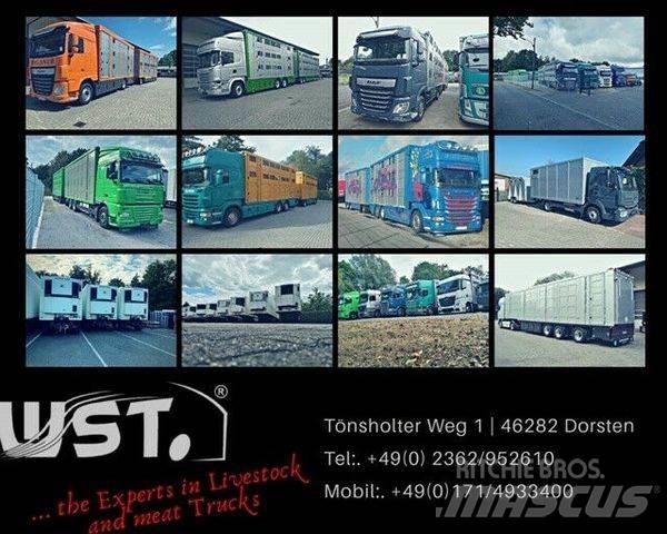 Kässbohrer  Curtain Side Trailers