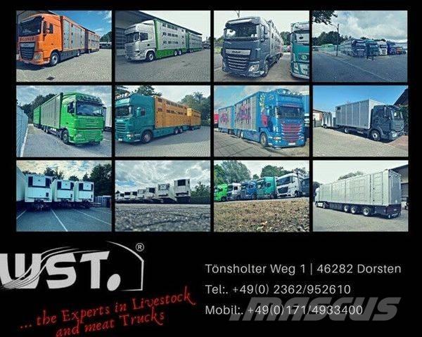 Kässbohrer  Curtain Side Trailers