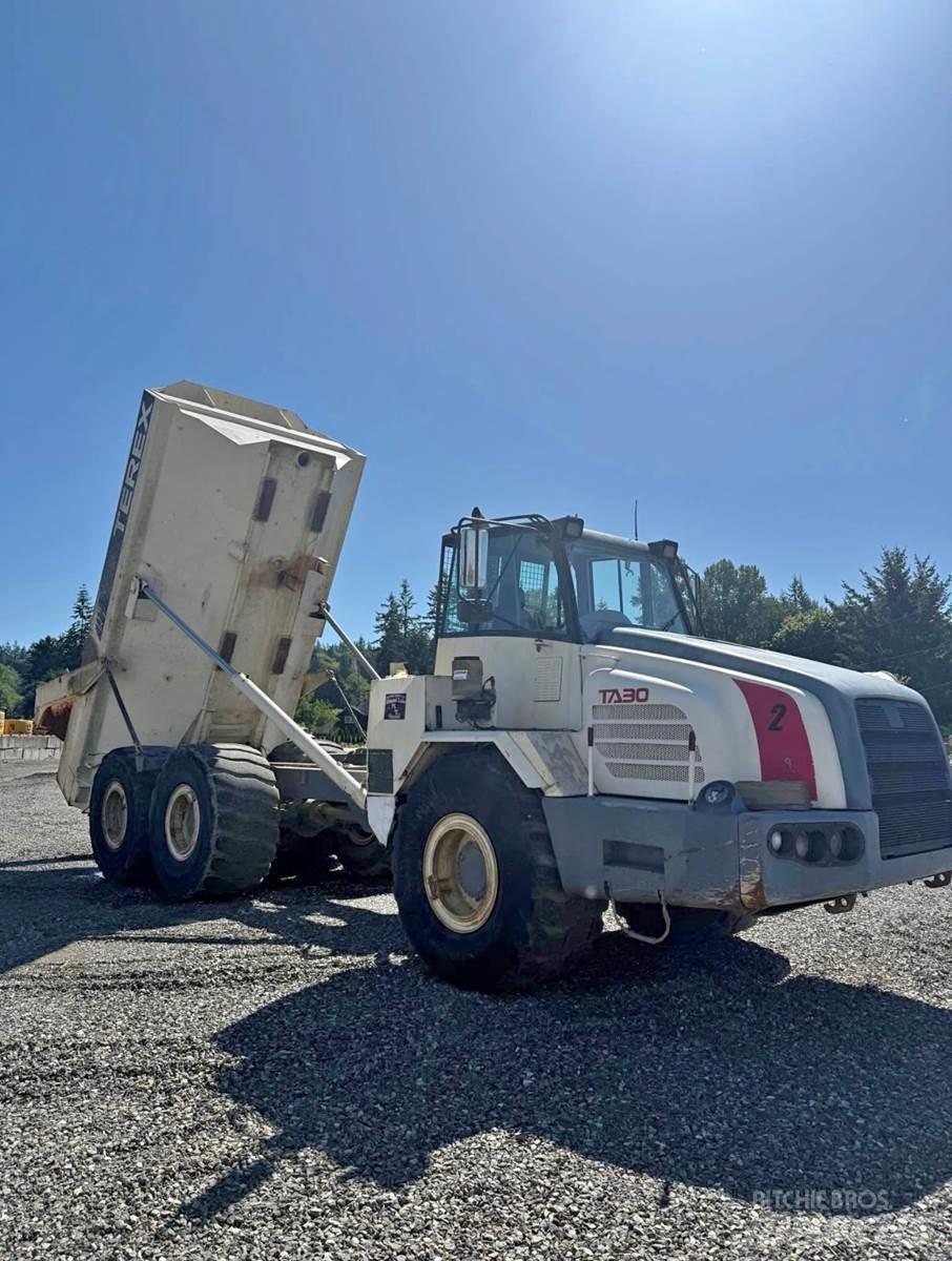 Terex TA30 Panel vans