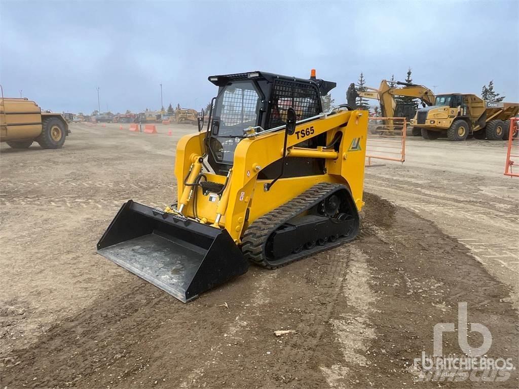  LUYUE TS65 Skid Steer Loaders